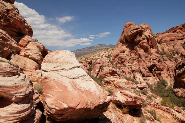 Red Rock Canyon — Stock fotografie