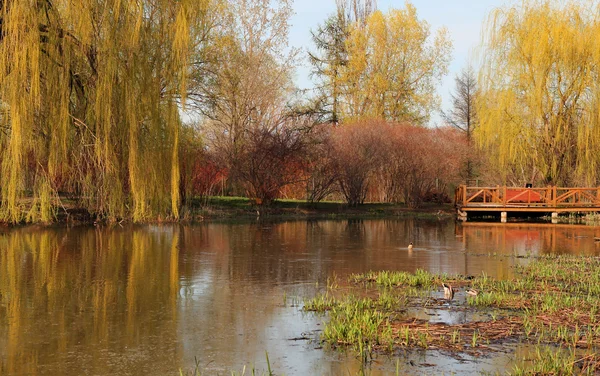 Lente landschap — Stockfoto