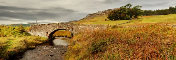 Ponte su un fiume — Foto Stock