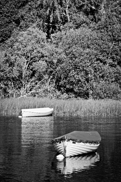 Bir Nehri üzerinde tekne — Stok fotoğraf