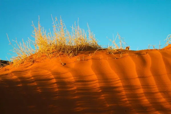 Monument Valley — Stockfoto