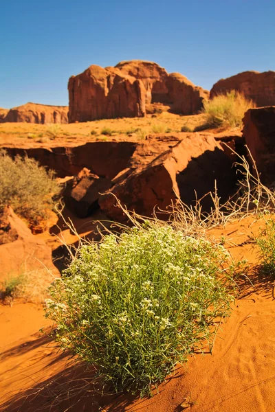 Monument Valley — Stock Photo, Image