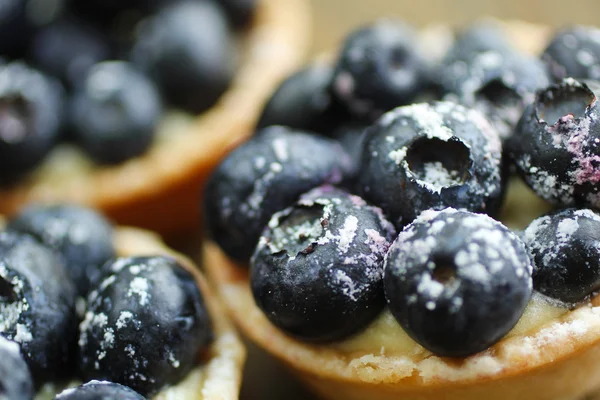 Blaubeerkuchen — Stockfoto