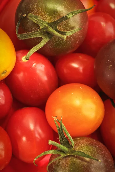 Tomate cereja — Fotografia de Stock