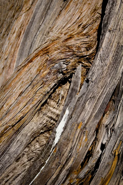 Holzstruktur — Stockfoto