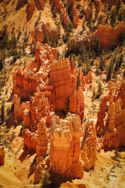 Detail bryce canyon — Stock fotografie