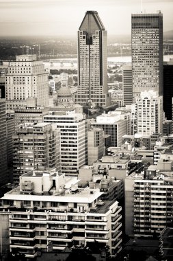 Montreal şehri