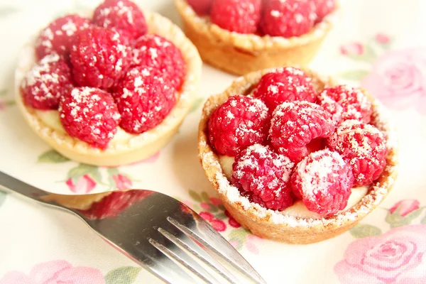 Raspberry tarts — Stock Photo, Image