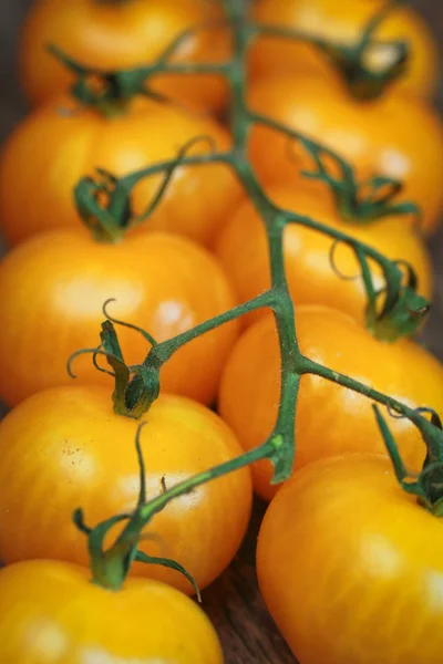 Жёлтые помидоры — стоковое фото