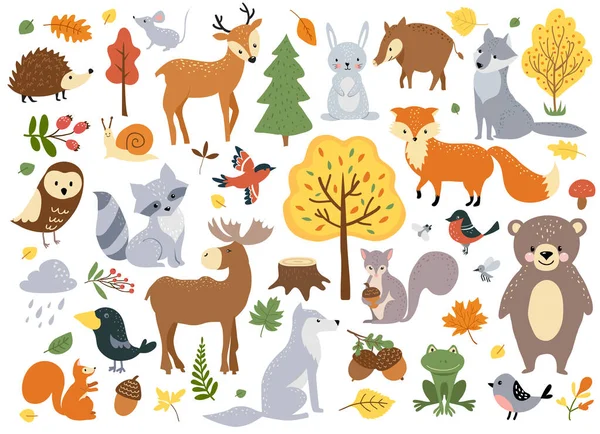 Woodland Animals Set Cute Fox Bear Wolf Rabbit Birds Perfect Royalty Free Stock Illustrations