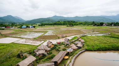 Doğal homestay, Tayland en iyi organik çiftlik kalır