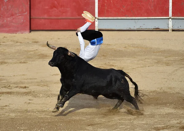 スペインの闘牛場で闘牛の伝統的な光景で大きな角を持つ闘牛 — ストック写真