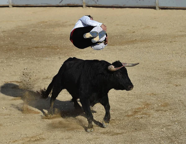 スペインの闘牛場で闘牛の伝統的な光景で大きな角を持つ闘牛 — ストック写真