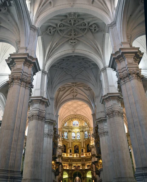 Cathedral Granada Spain — Zdjęcie stockowe