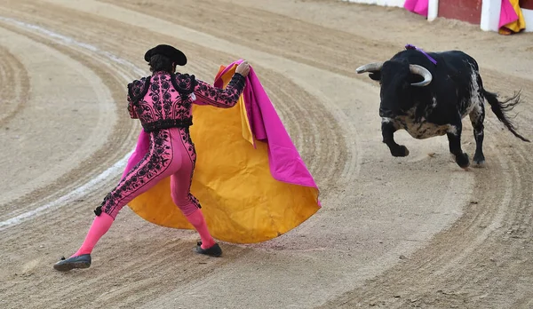 Bikaviadal Látványa Spanyolországban Egy Nagy Bikával — Stock Fotó