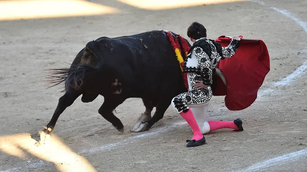 Een Spektakel Van Stierenvechten Spanje Met Een Grote Stier — Stockfoto