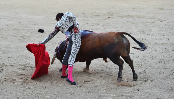 Uno Spettacolo Corrida Spagna Con Grande Toro — Foto Stock