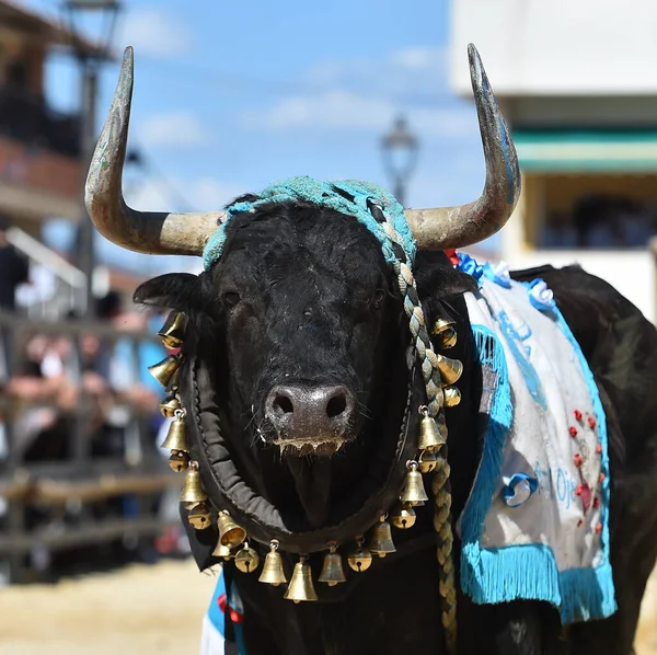 Toro Grande Espectáculo Tradicional Toreo España — Foto de Stock