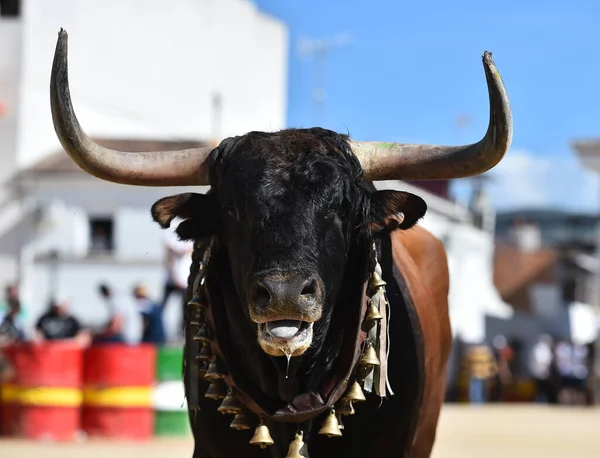 Toro Tradicional Espectáculo Corridas Toros España — Foto de Stock