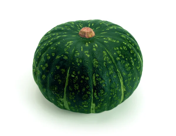 Pumpkin (Latin Cucurbita) - genus of herbaceous plants of the family Pumpkin (Cucurbitaceae). — Stock Photo, Image