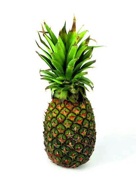 Pineapple (Latin Ananas) - genus of herbaceous plants of tropical bromeliads (Bromeliaceae). — Stock Photo, Image