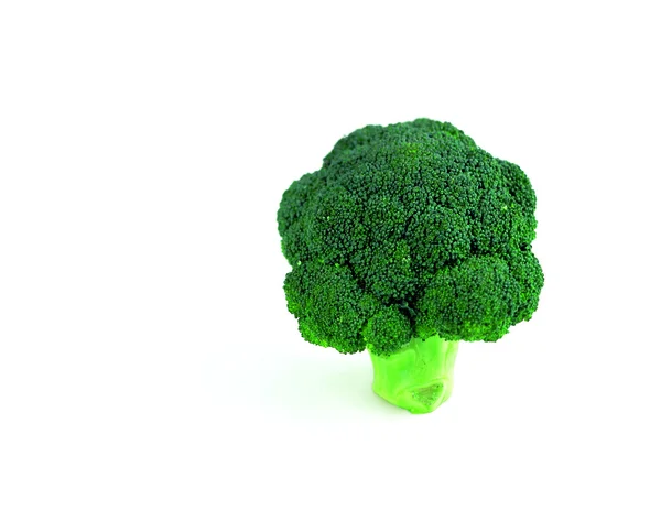 Broccoli on a white background — Stock Photo, Image