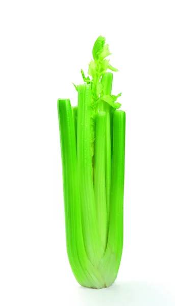 Celery stalk (Latin Apium) — Stock Photo, Image