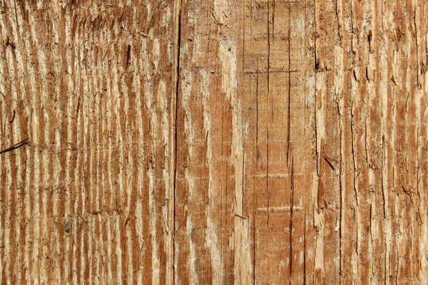 Wood texture — Stock Photo, Image