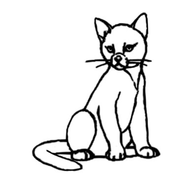 Beyaz arka planda bir kedi resmi