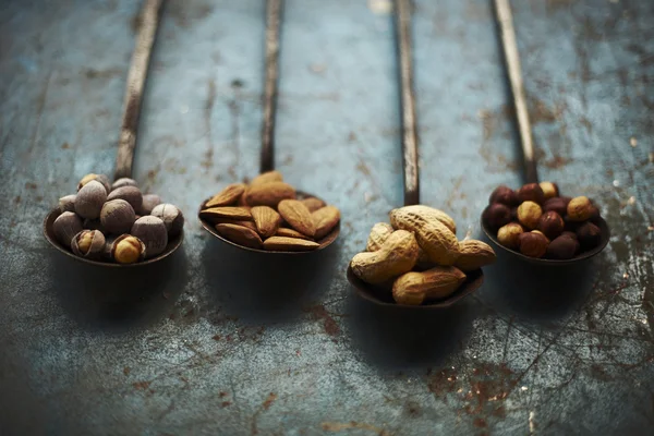 Varieties of nuts — Stock Photo, Image