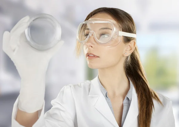 Женщина-ученый анализирует блюда Петри в лаборатории — стоковое фото