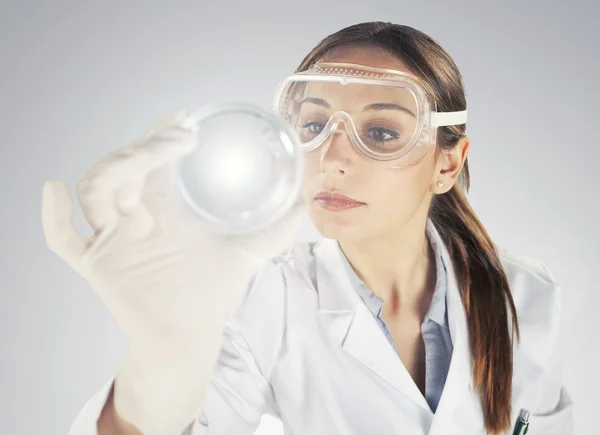 Mujer científica analizando placas de Petri en el laboratorio —  Fotos de Stock