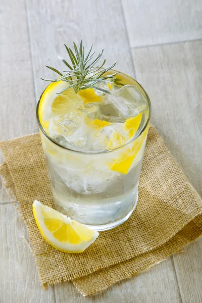 ジン ・ トニック氷とレモンのガラス — ストック写真