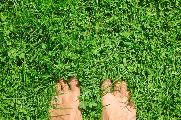 Feets 草背景上の頭上式の写真. — ストック写真