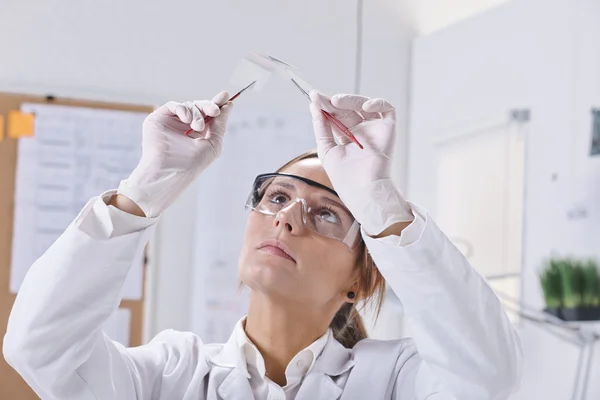 Wetenschappelijke tonen een stuk van grafeen. — Stockfoto