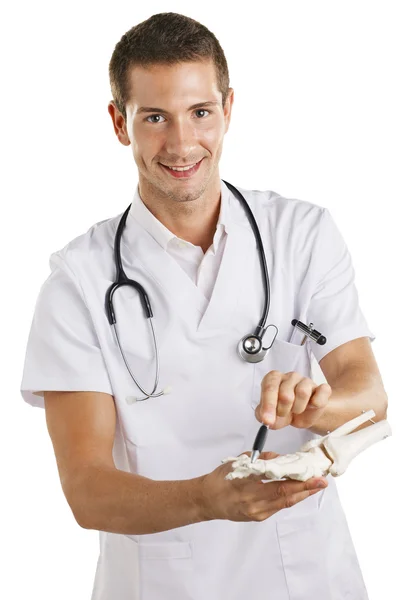 Young osteopathic physician man showing a representation of skeleton foot. — Stock Photo, Image