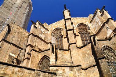barcelona katedrali.