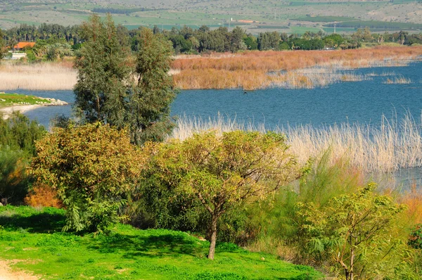Kinneret Gölü. — Stok fotoğraf