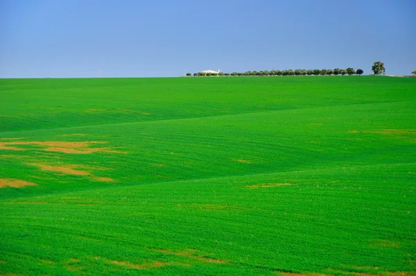 Tomt utrymme. — Stockfoto