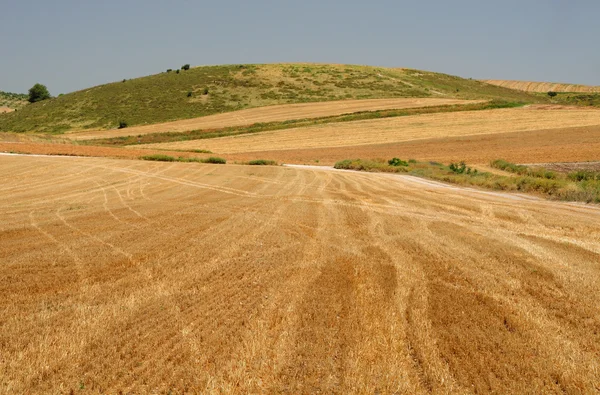 Naturlandskap. — Stockfoto