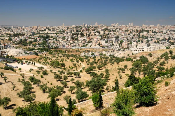 Jerusalem. — Stock Photo, Image