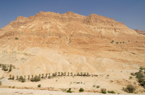 Desert landscape. — Stock Photo, Image