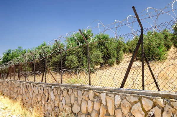 Protected garden. — Stock Photo, Image