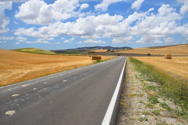 Perspective View Highway Open Landscape Andalusia Spain — Stock Photo, Image