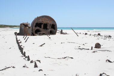 Shipwreck Kakapo at the beach of kommetjie clipart