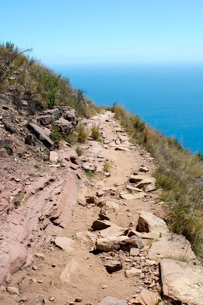 Піші прогулянки контур на столі гори, Південно-Африканська Республіка — стокове фото