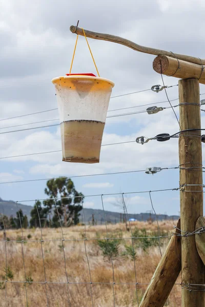 Fly Trap tergantung di pagar — Stok Foto