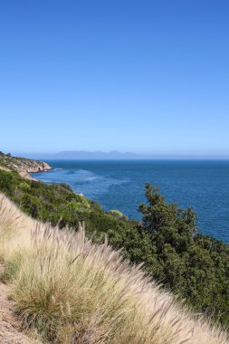 kıyı boyunca Hint Okyanusu