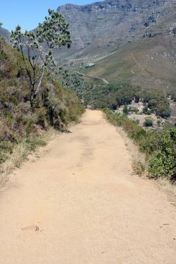 yürüyüş yolu üzerinde Masa Dağı, Güney Afrika