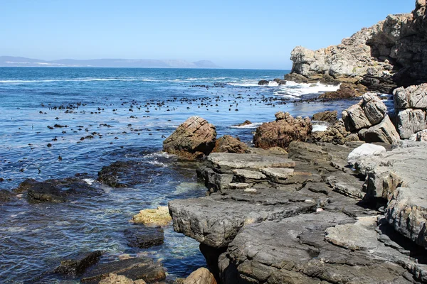 Klippen entlang der südafrikanischen Küste lizenzfreie Stockfotos